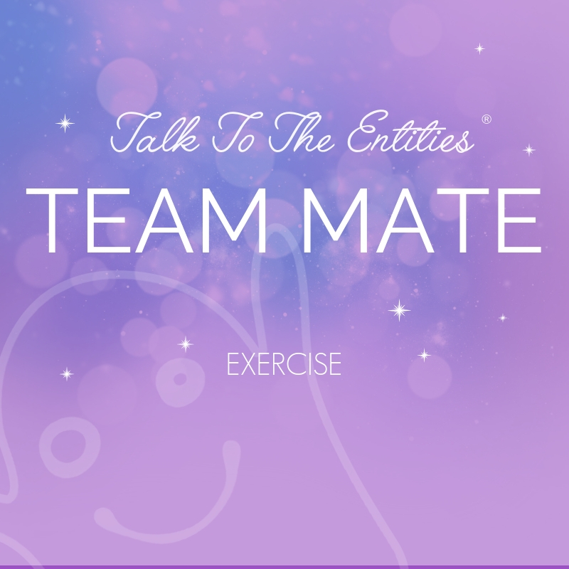 English: Team Mate Exercise